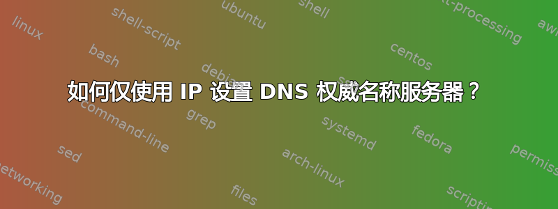 如何仅使用 IP 设置 DNS 权威名称服务器？