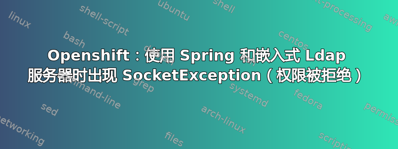 Openshift：使用 Spring 和嵌入式 Ldap 服务器时出现 SocketException（权限被拒绝）