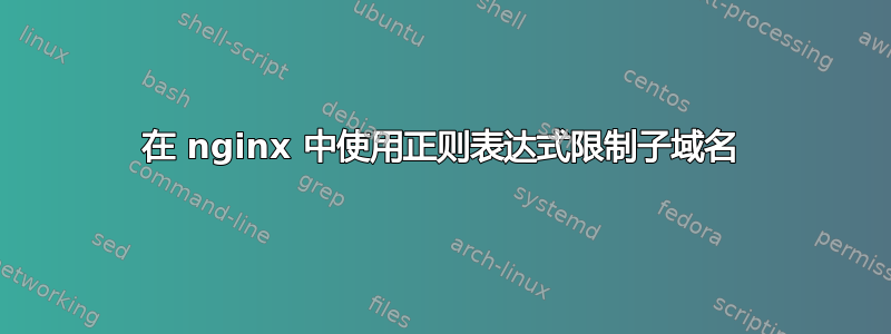 在 nginx 中使用正则表达式限制子域名