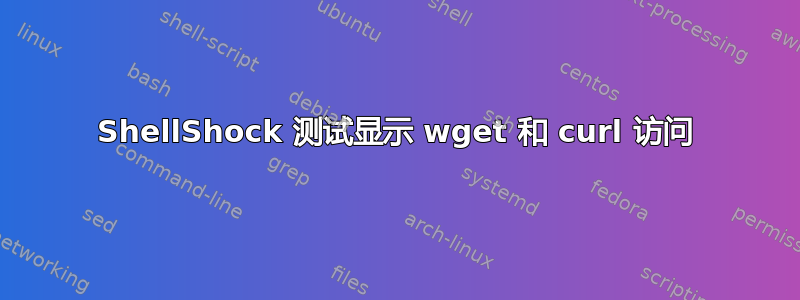 ShellShock 测试显示 wget 和 curl 访问