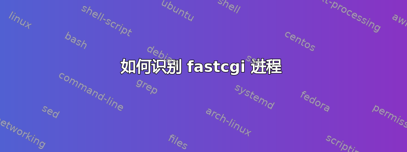 如何识别 fastcgi 进程