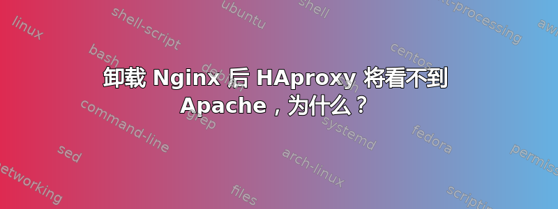 卸载 Nginx 后 HAproxy 将看不到 Apache，为什么？