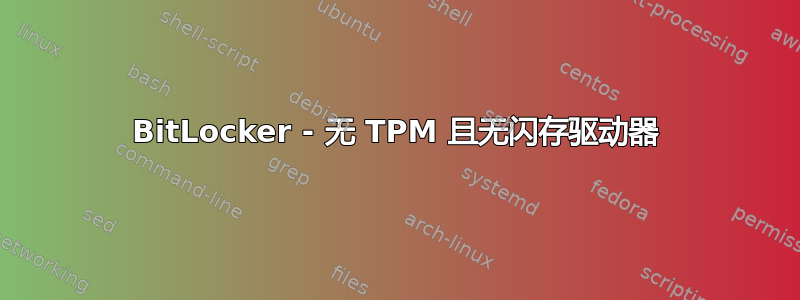 BitLocker - 无 TPM 且无闪存驱动器