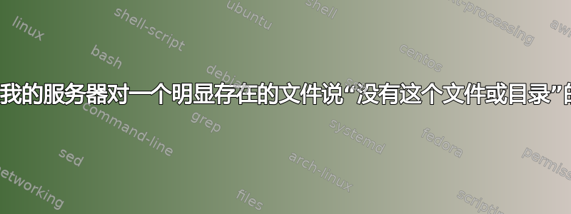 为什么我的服务器对一个明显存在的文件说“没有这个文件或目录”的错误