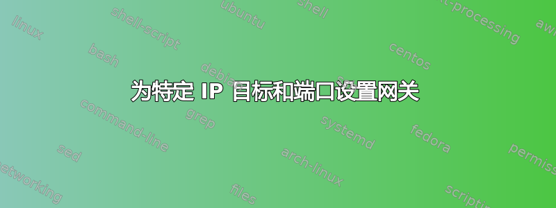 为特定 IP 目标和端口设置网关