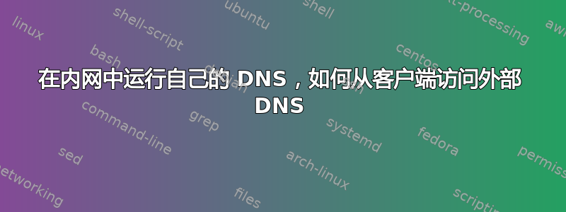 在内网中运行自己的 DNS，如何从客户端访问外部 DNS