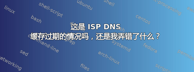 这是 ISP DNS 缓存过期的情况吗，还是我弄错了什么？