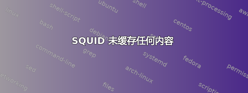 SQUID 未缓存任何内容