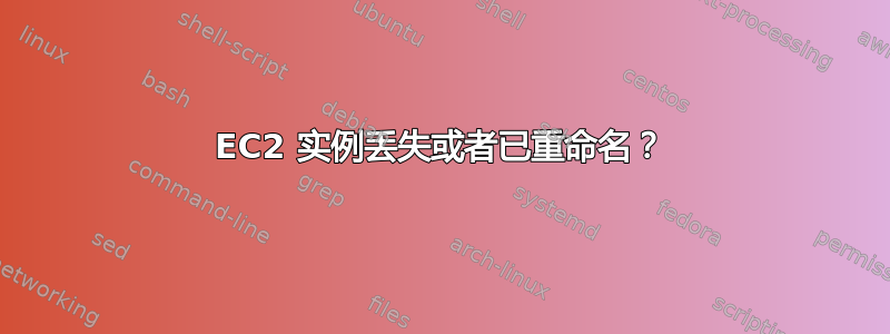 EC2 实例丢失或者已重命名？