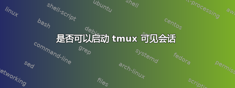 是否可以启动 tmux 可见会话