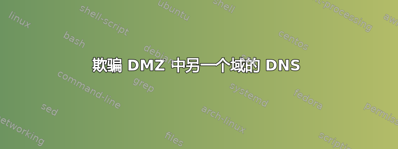 欺骗 DMZ 中另一个域的 DNS