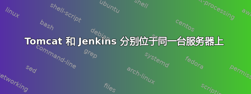 Tomcat 和 Jenkins 分别位于同一台服务器上