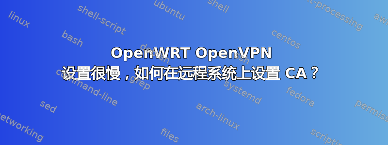 OpenWRT OpenVPN 设置很慢，如何在远程系统上设置 CA？