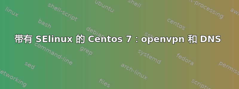 带有 SElinux 的 Centos 7：openvpn 和 DNS