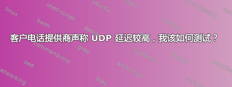 客户电话提供商声称 UDP 延迟较高，我该如何测试？