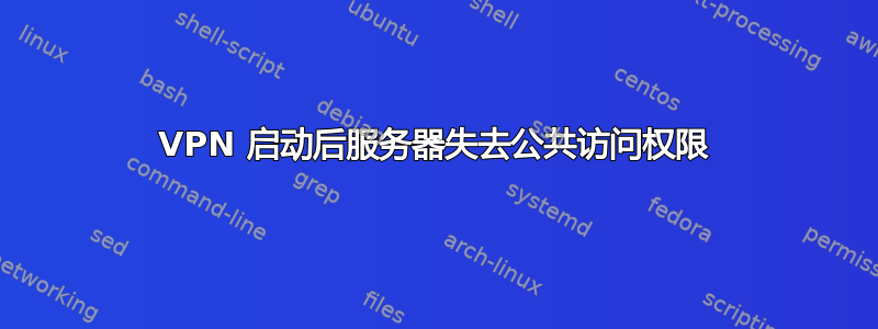 VPN 启动后服务器失去公共访问权限