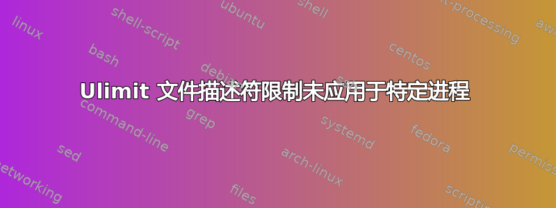 Ulimit 文件描述符限制未应用于特定进程