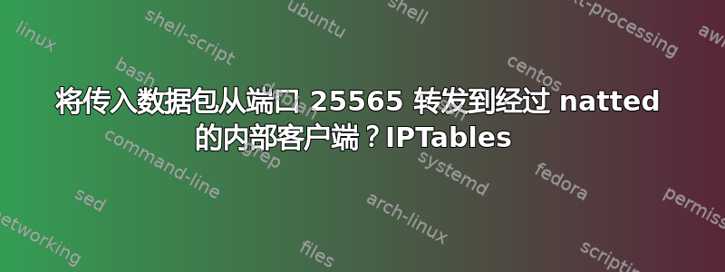 将传入数据包从端口 25565 转发到经过 natted 的内部客户端？IPTables 