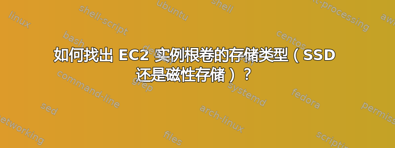 如何找出 EC2 实例根卷的存储类型（SSD 还是磁性存储）？