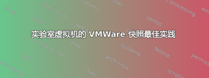 实验室虚拟机的 VMWare 快照最佳实践