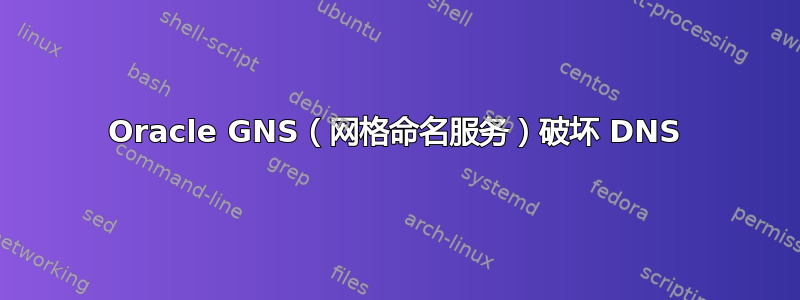 Oracle GNS（网格命名服务）破坏 DNS