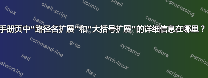 手册页中“路径名扩展”和“大括号扩展”的详细信息在哪里？ 