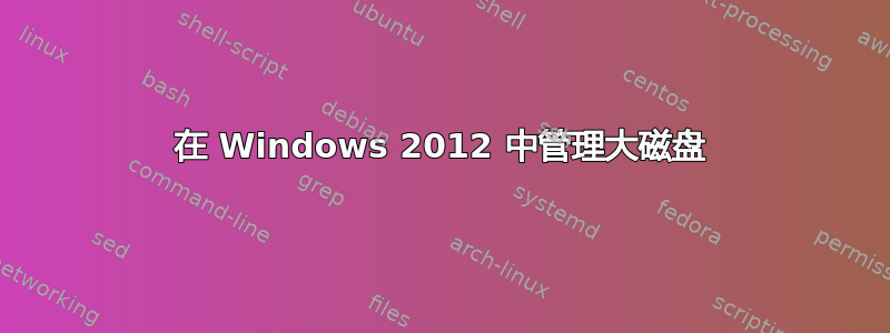 在 Windows 2012 中管理大磁盘