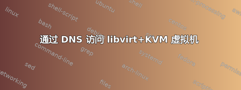 通过 DNS 访问 libvirt+KVM 虚拟机