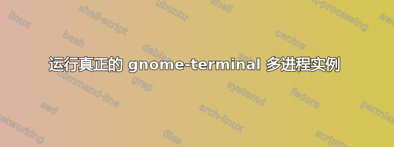 运行真正的 gnome-terminal 多进程实例