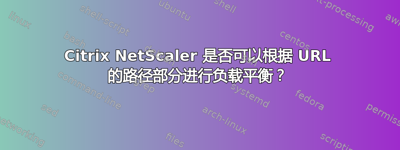 Citrix NetScaler 是否可以根据 URL 的路径部分进行负载平衡？