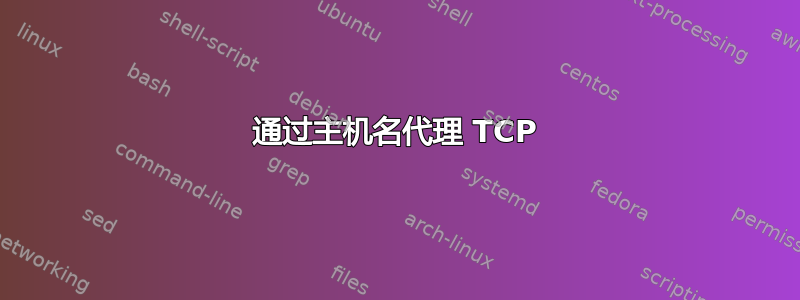 通过主机名代理 TCP