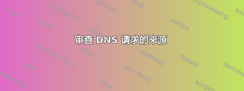 审查 DNS 请求的来源