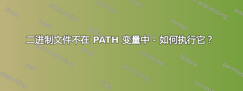 二进制文件不在 PATH 变量中 - 如何执行它？