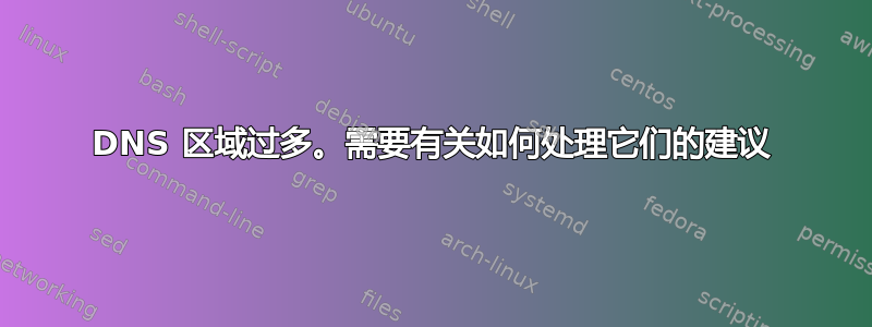 DNS 区域过多。需要有关如何处理它们的建议