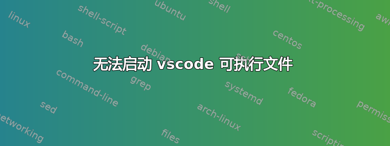 无法启动 vscode 可执行文件