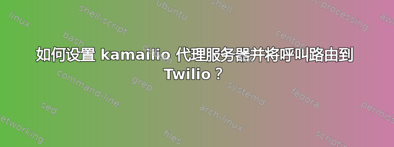 如何设置 kamailio 代理服务器并将呼叫路由到 Twilio？