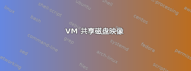 VM 共享磁盘映像