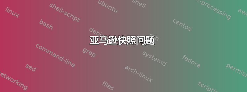 亚马逊快照问题