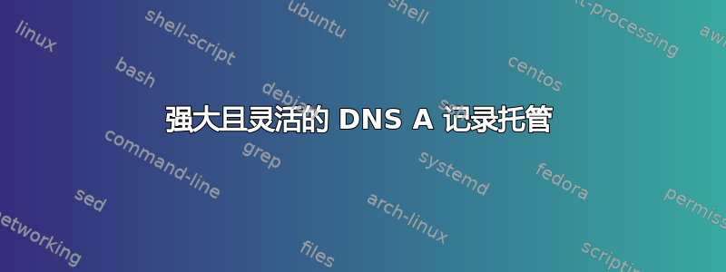 强大且灵活的 DNS A 记录托管