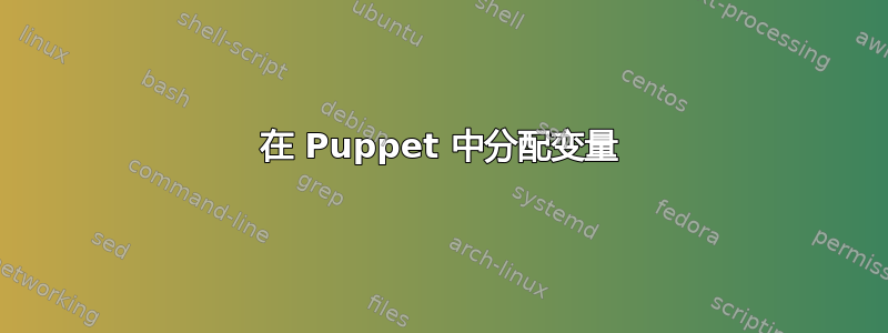 在 Puppet 中分配变量