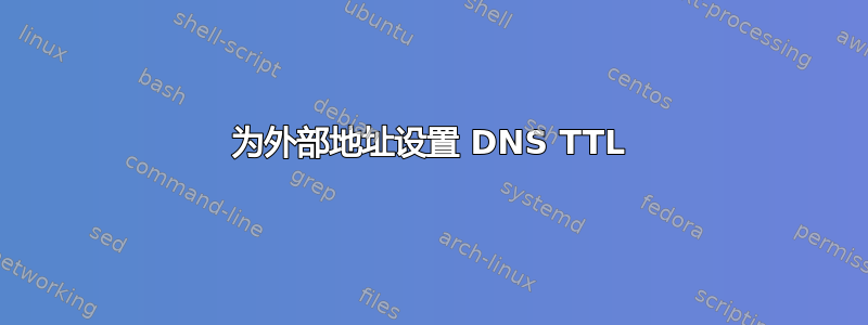 为外部地址设置 DNS TTL