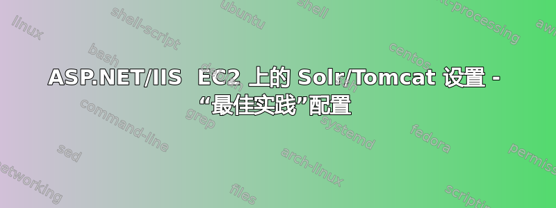 ASP.NET/IIS  EC2 上的 Solr/Tomcat 设置 - “最佳实践”配置