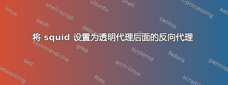 将 squid 设置为透明代理后面的反向代理