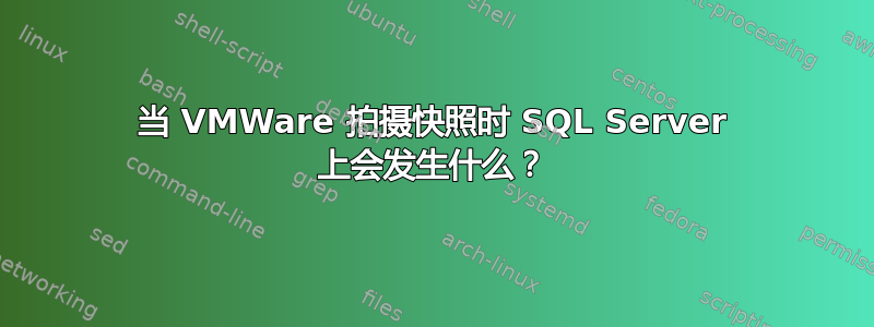 当 VMWare 拍摄快照时 SQL Server 上会发生什么？