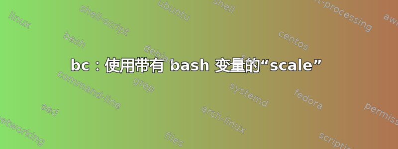 bc：使用带有 bash 变量的“scale”