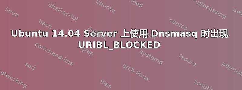 Ubuntu 14.04 Server 上使用 Dnsmasq 时出现 URIBL_BLOCKED