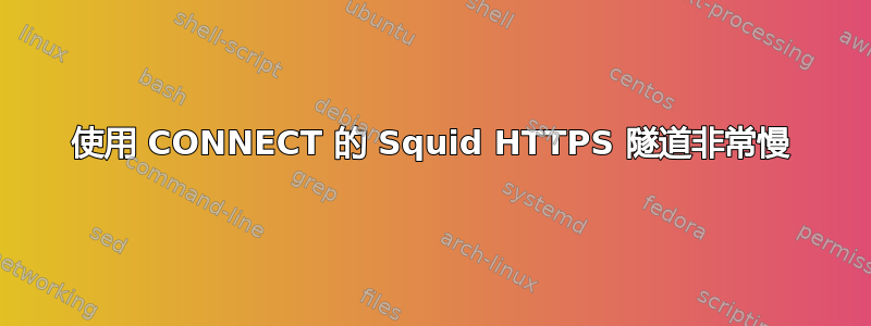 使用 CONNECT 的 Squid HTTPS 隧道非常慢