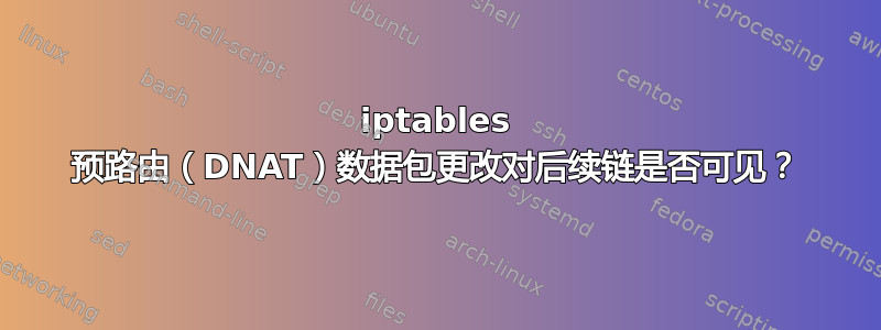 iptables 预路由（DNAT）数据包更改对后续链是否可见？