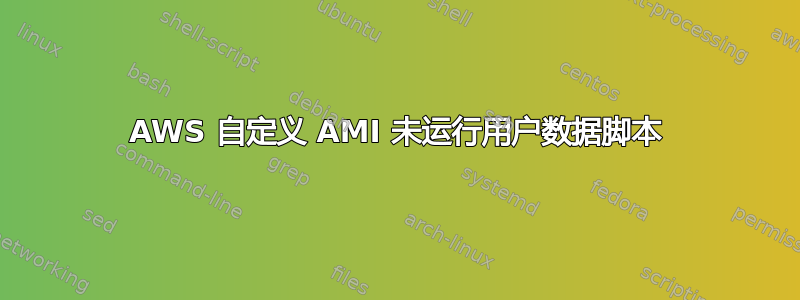 AWS 自定义 AMI 未运行用户数据脚本