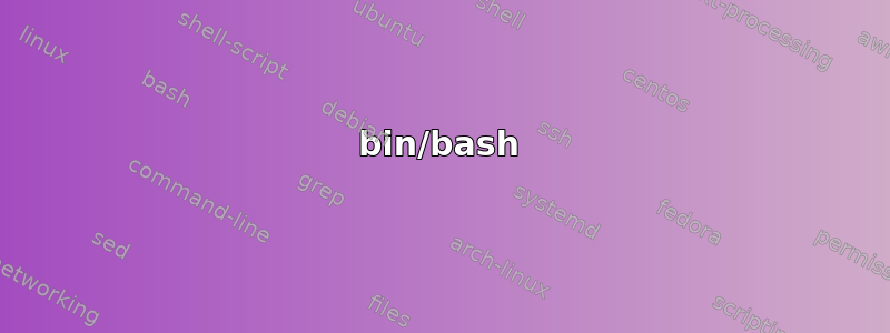 bin/bash